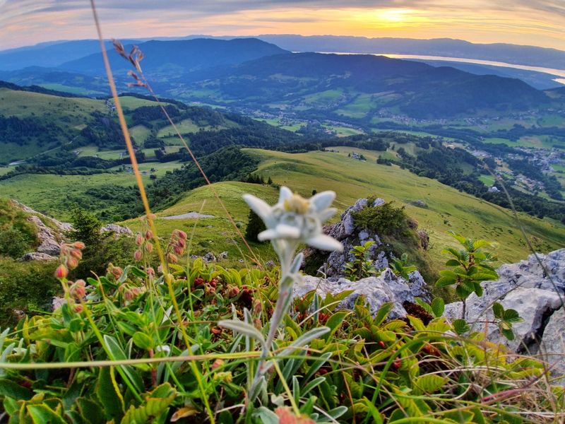 vue_Léman _les_habères