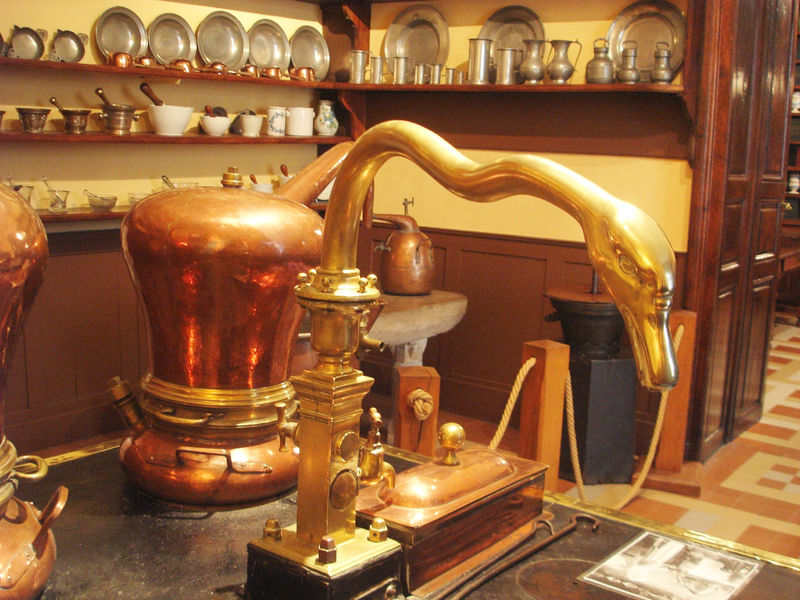 laboratoire_credit Michel Dalegre Photo Club Bressan (1)