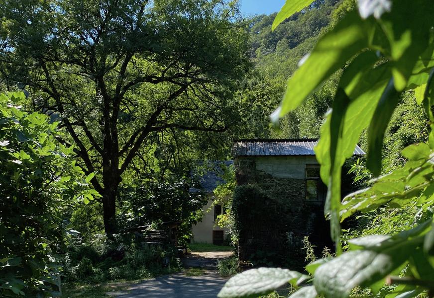 La maison dans la forêt
