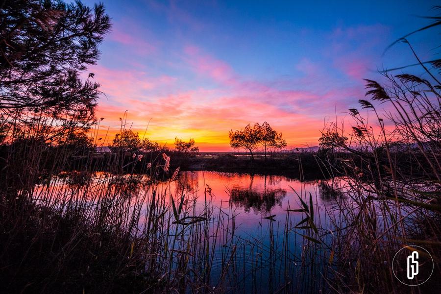 Expositions- Vieux Salins d'Hyères_Hyères