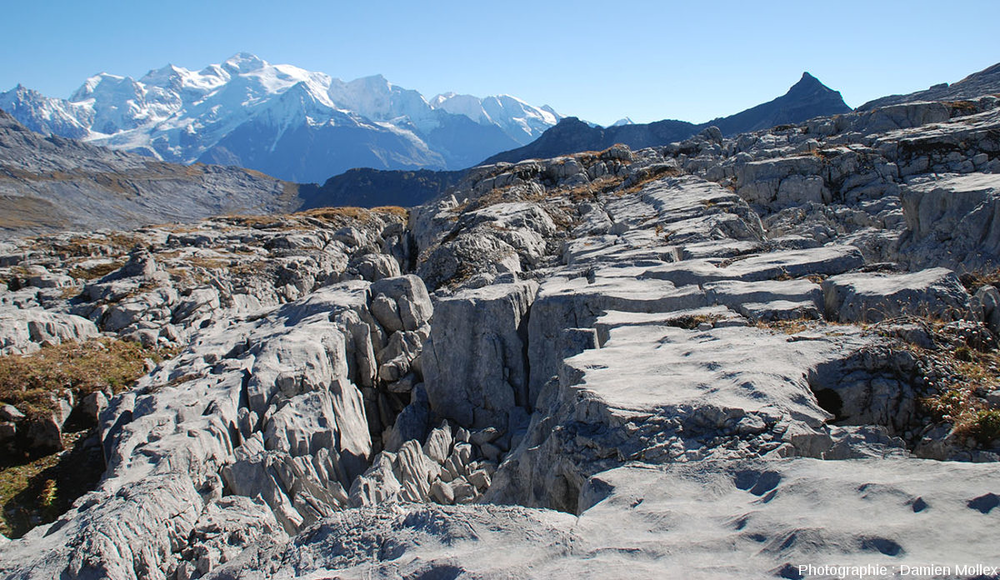 Desert of Platé