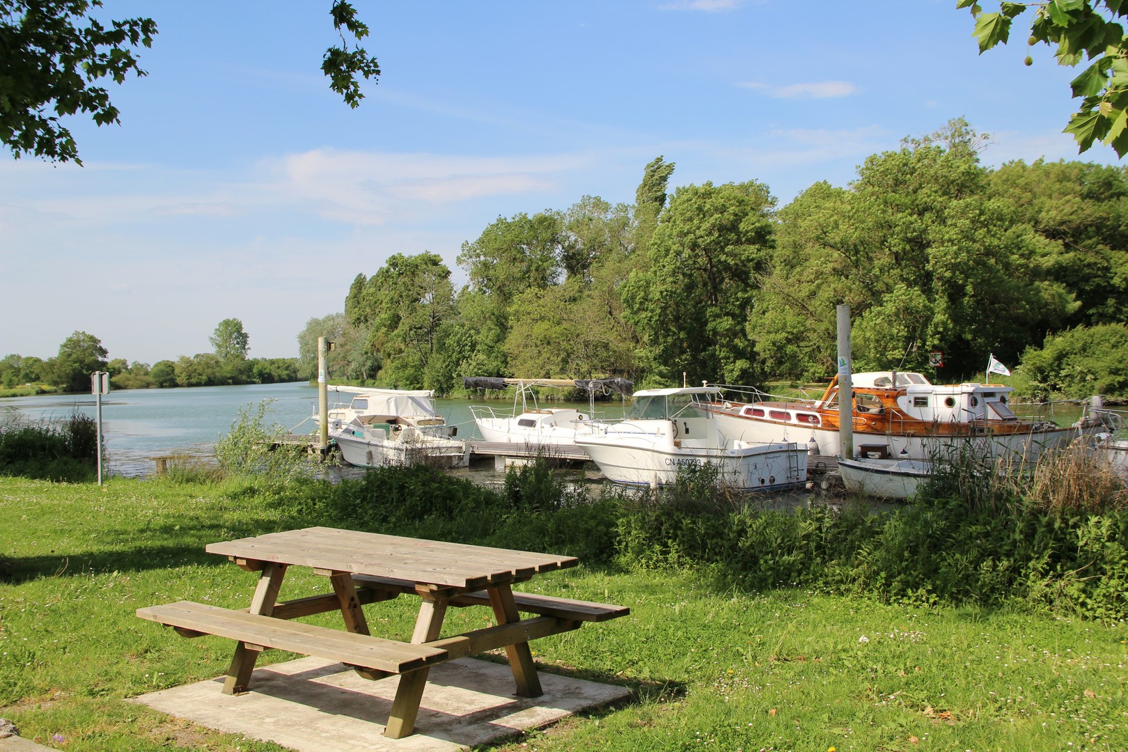 Aire de pique-nique - Quai des Fleurs