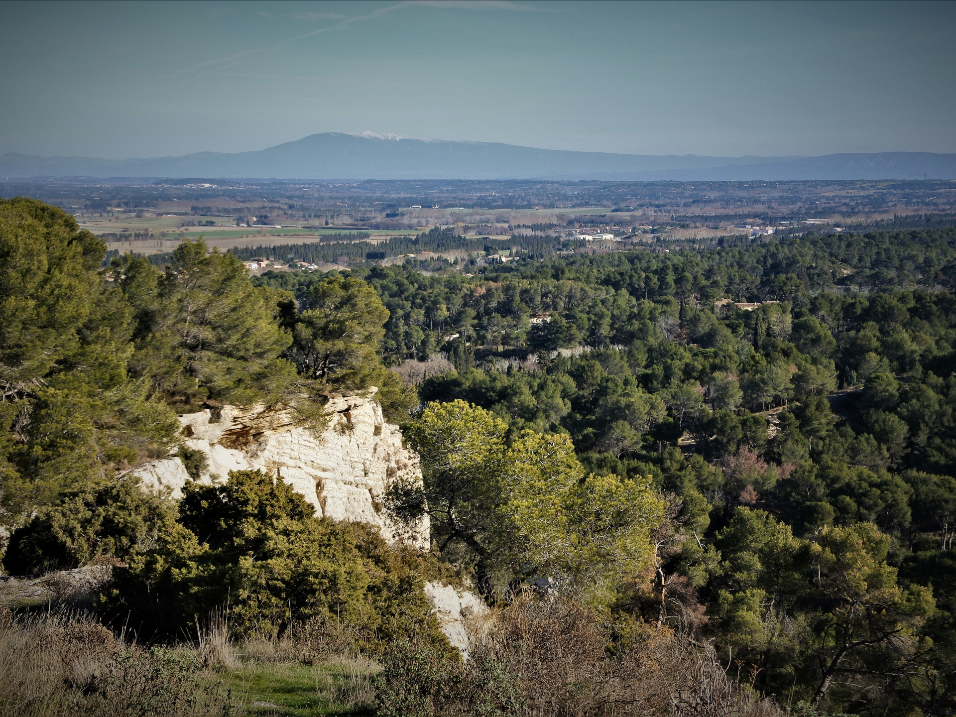 Le vignoble des Alpilles, rêve antique (Circuit 1 / Ouest)