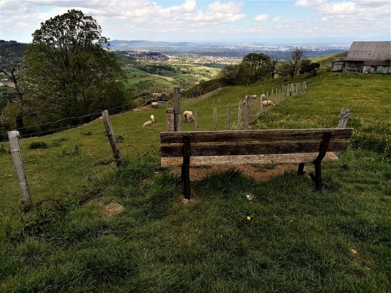 Balade en Vallons Vaugneray