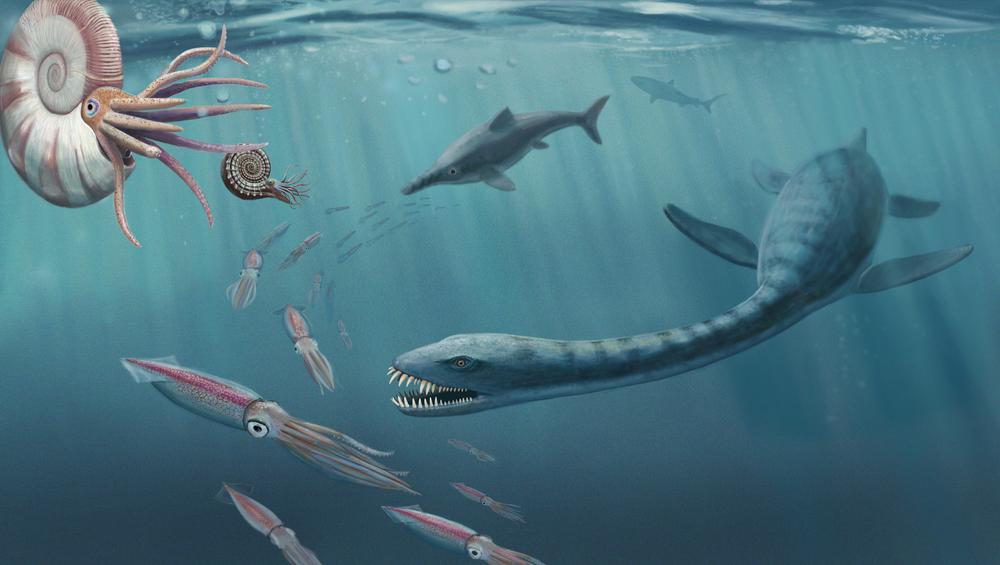 Rendez-vous Pays d'art et d'histoire