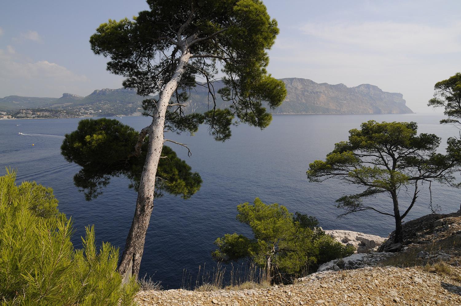 Les Portes Des Calanques, Roquefort-la-Bédoule - photo 8