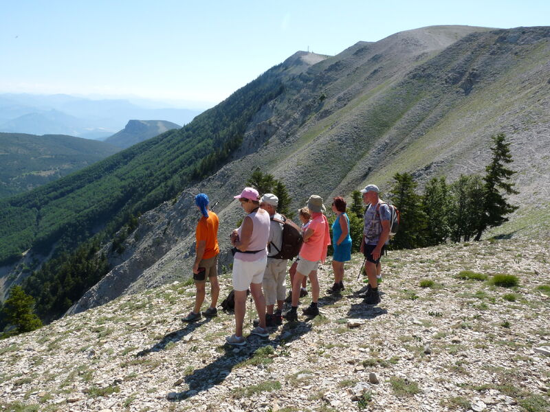 Un cheminement aérien avec vue sur les grandes Alpes