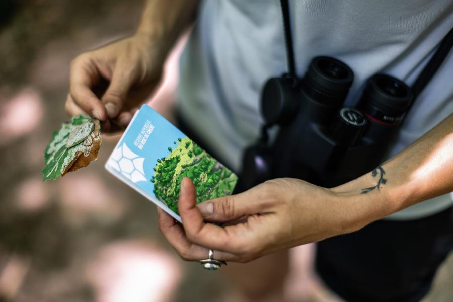 Réserve naturelle du Roc de Chère_Talloires-Montmin
