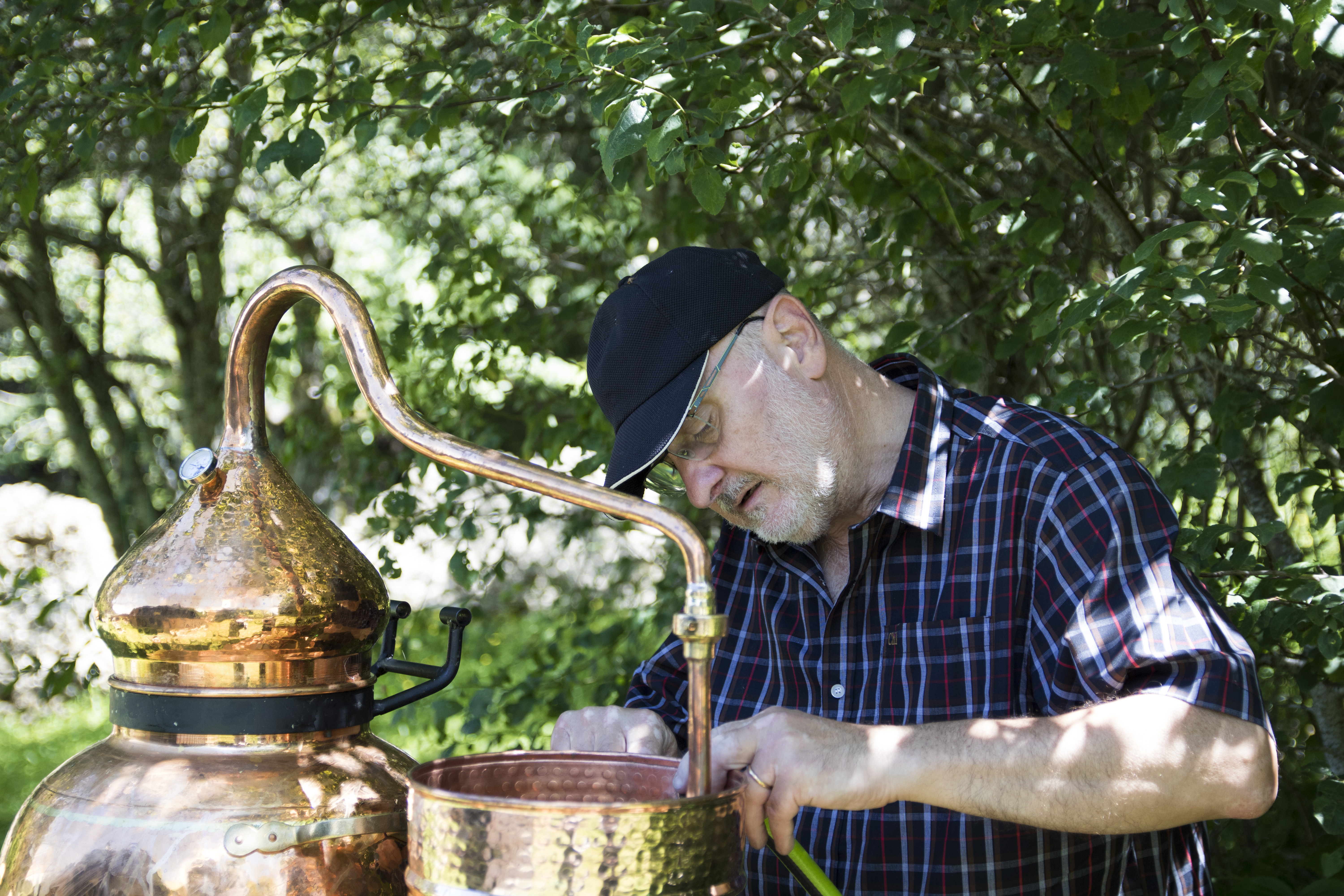 Distillation de plantes aromatiques et médicinales