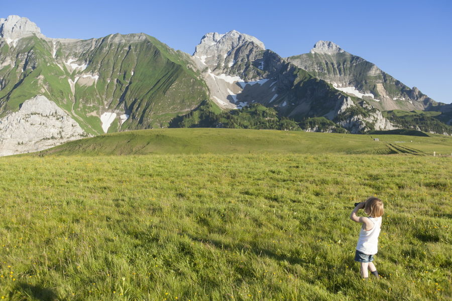 Plateau de Cenise en été