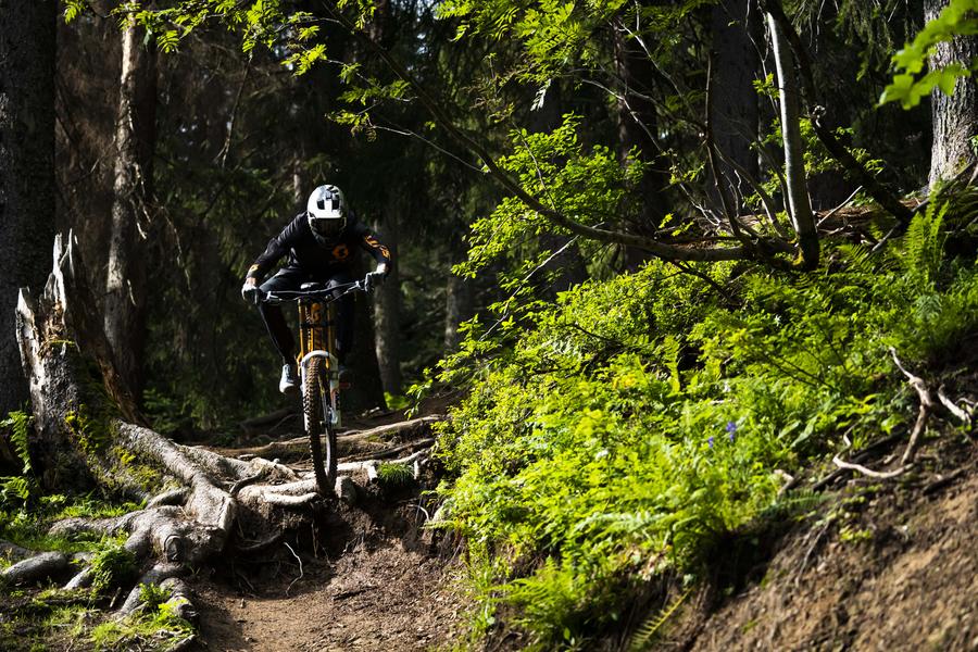 Domaine VTT de Châtel Domaine VTT de Châtel