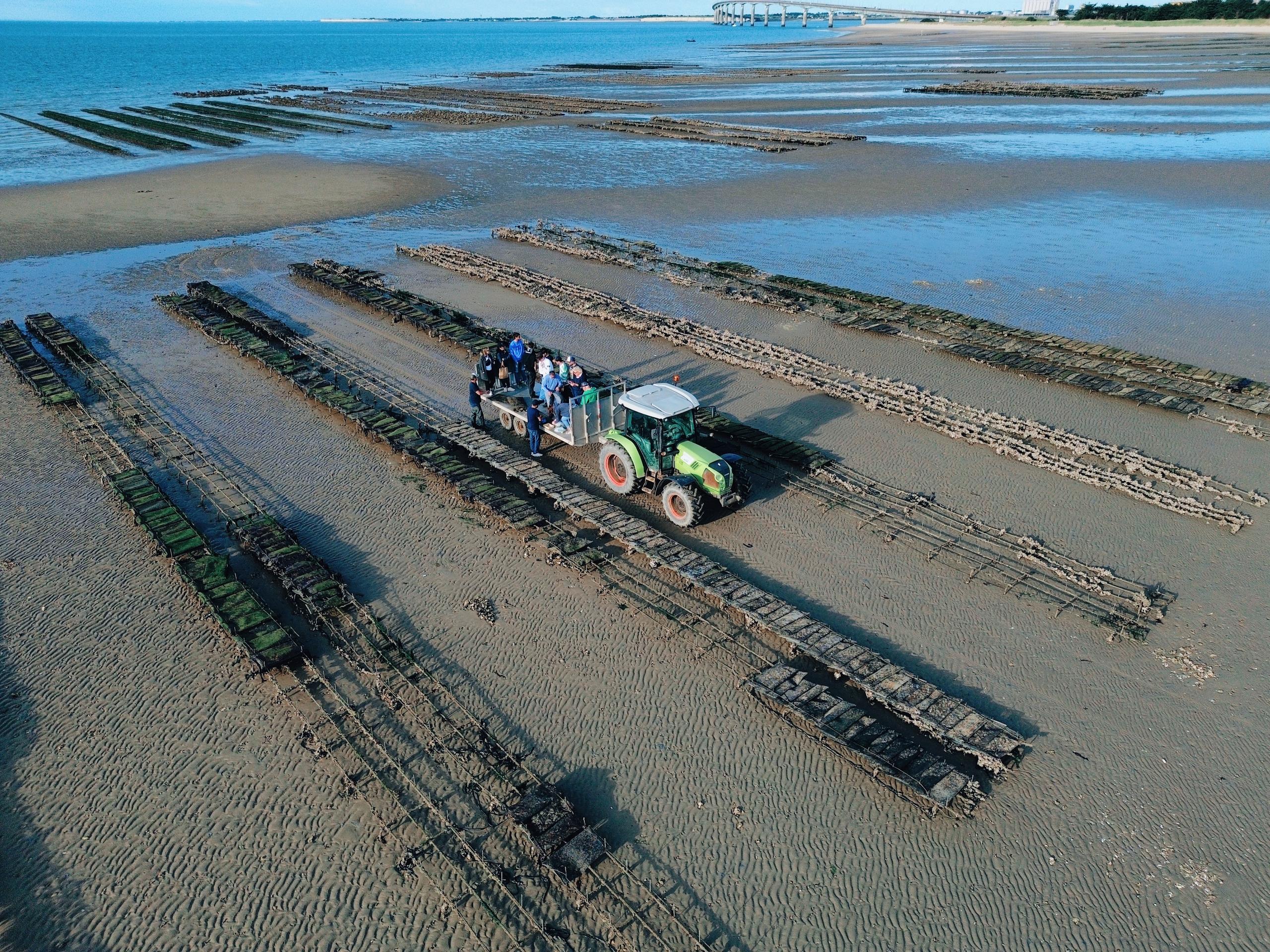 Visite en mer tractée immersive dans les parcs à huîtres (2h30) par Dealer d'Iode
