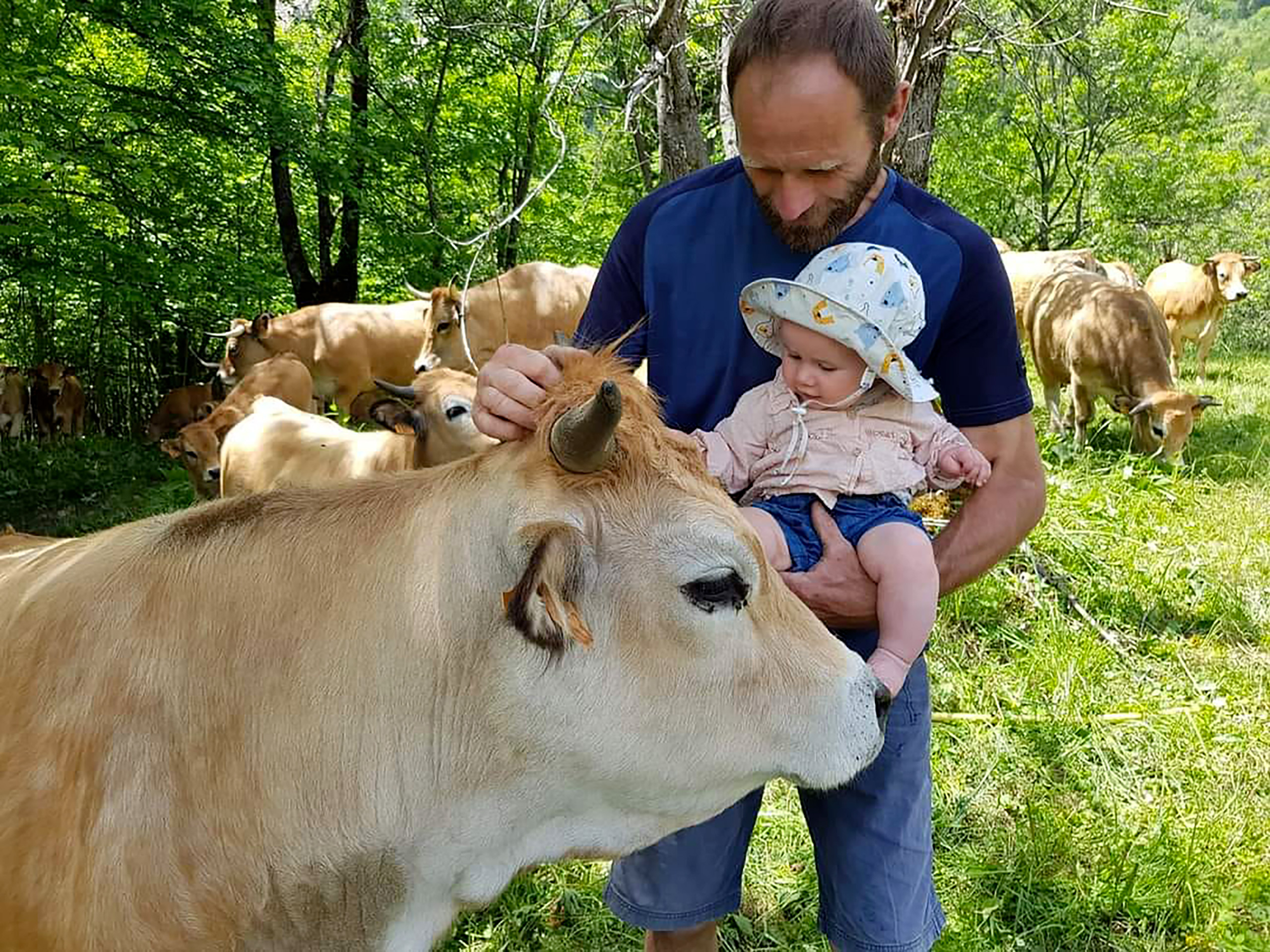 La Ferme des Aubracs