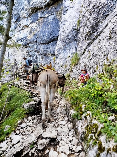 Randonnée avec les ânes : 4 jours Tour du Charbon_Les Déserts