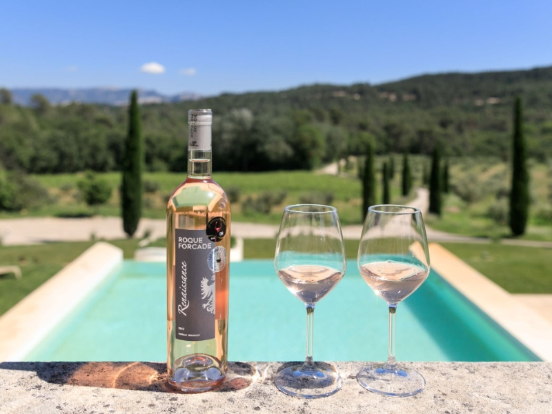 Château de la Roque Forcade