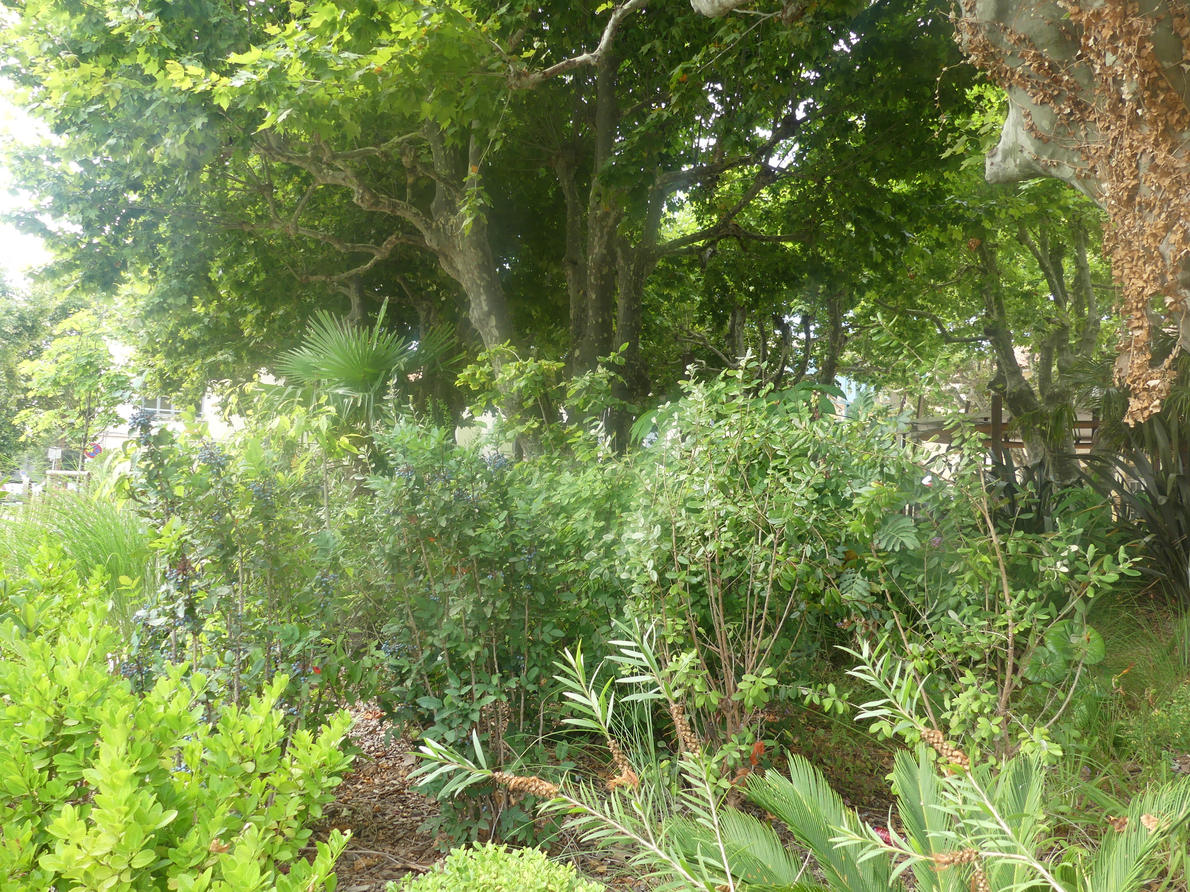 Jardin Salvador Dali, Marignane - photo 4