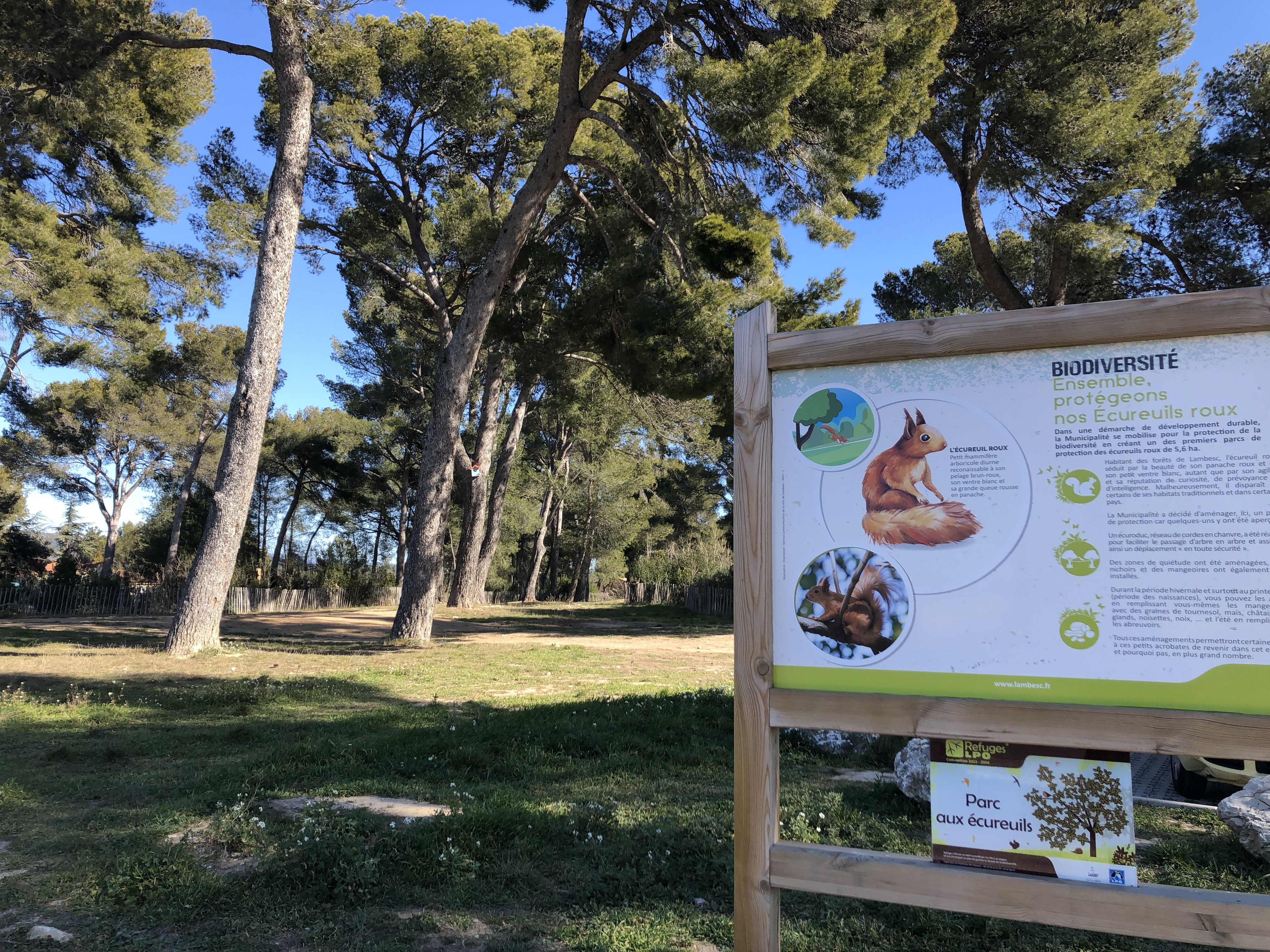 Parc aux écureuils - photo 4