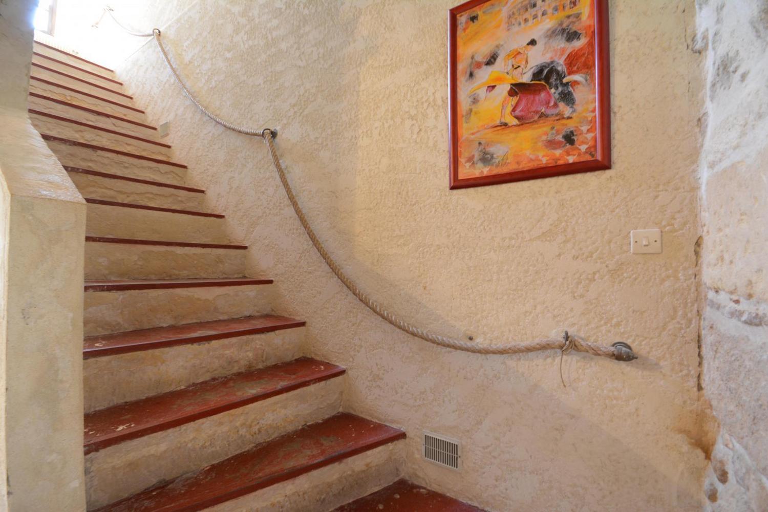 Mas de Fiélouse - Vaccarès, Saintes-Maries-de-la-Mer - photo 16