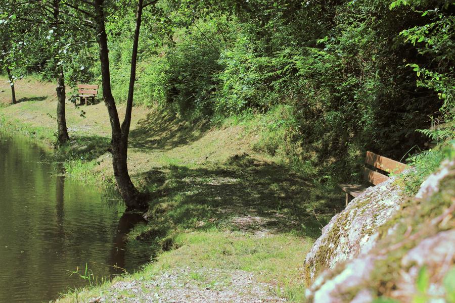 Plan d'eau la Vendenesse