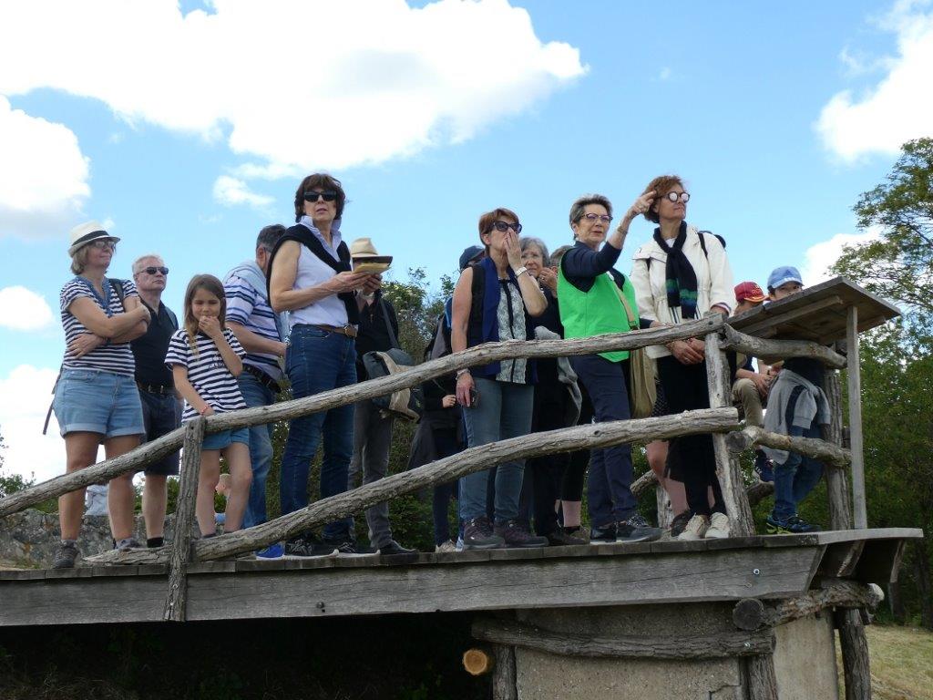 Balade découverte au Mont Brouilly