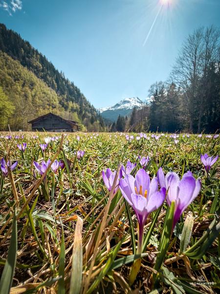 Balade sophrologie avec Cécile_Les Contamines-Montjoie