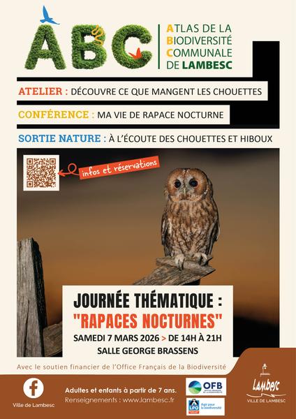 ABC : journée thématique sur les rapaces nocturnes