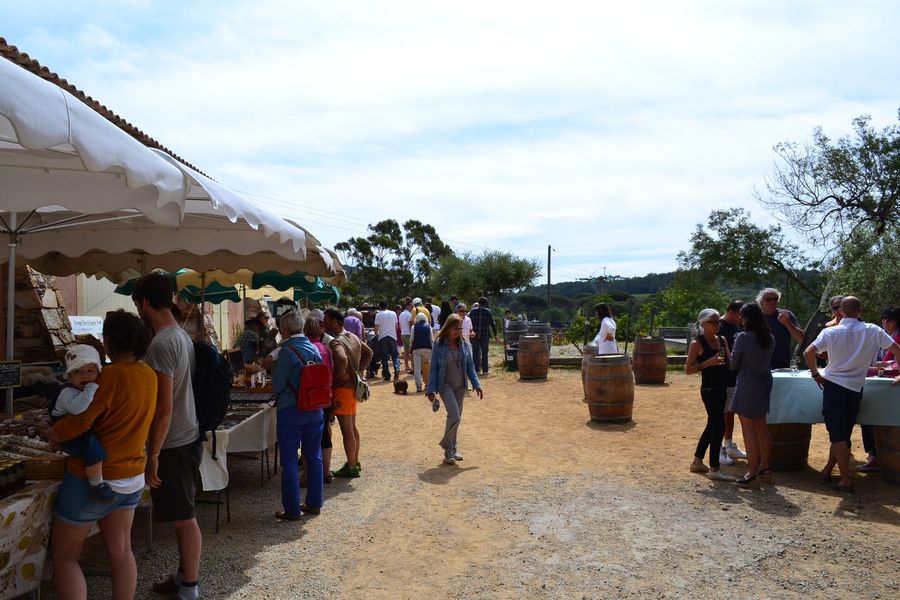 Domaine La Tourraque