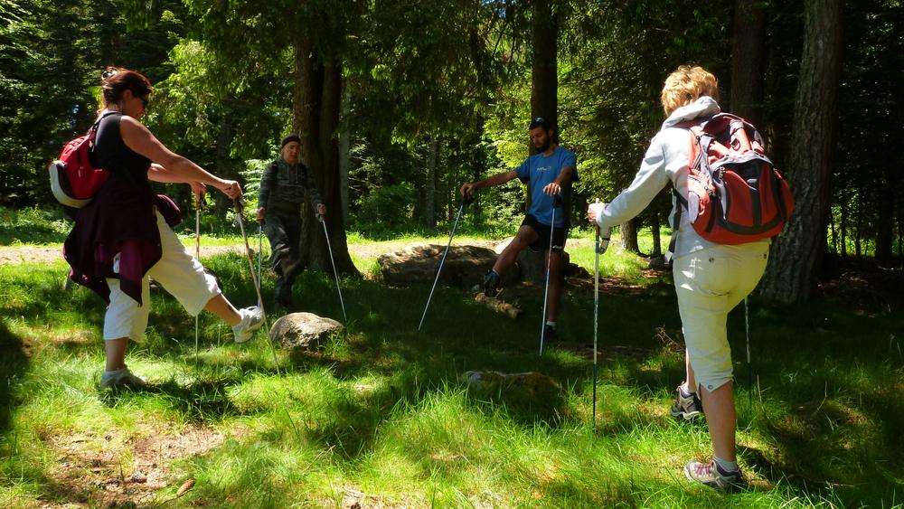 Marche nordique et sport santé - Toulaba Outdoor