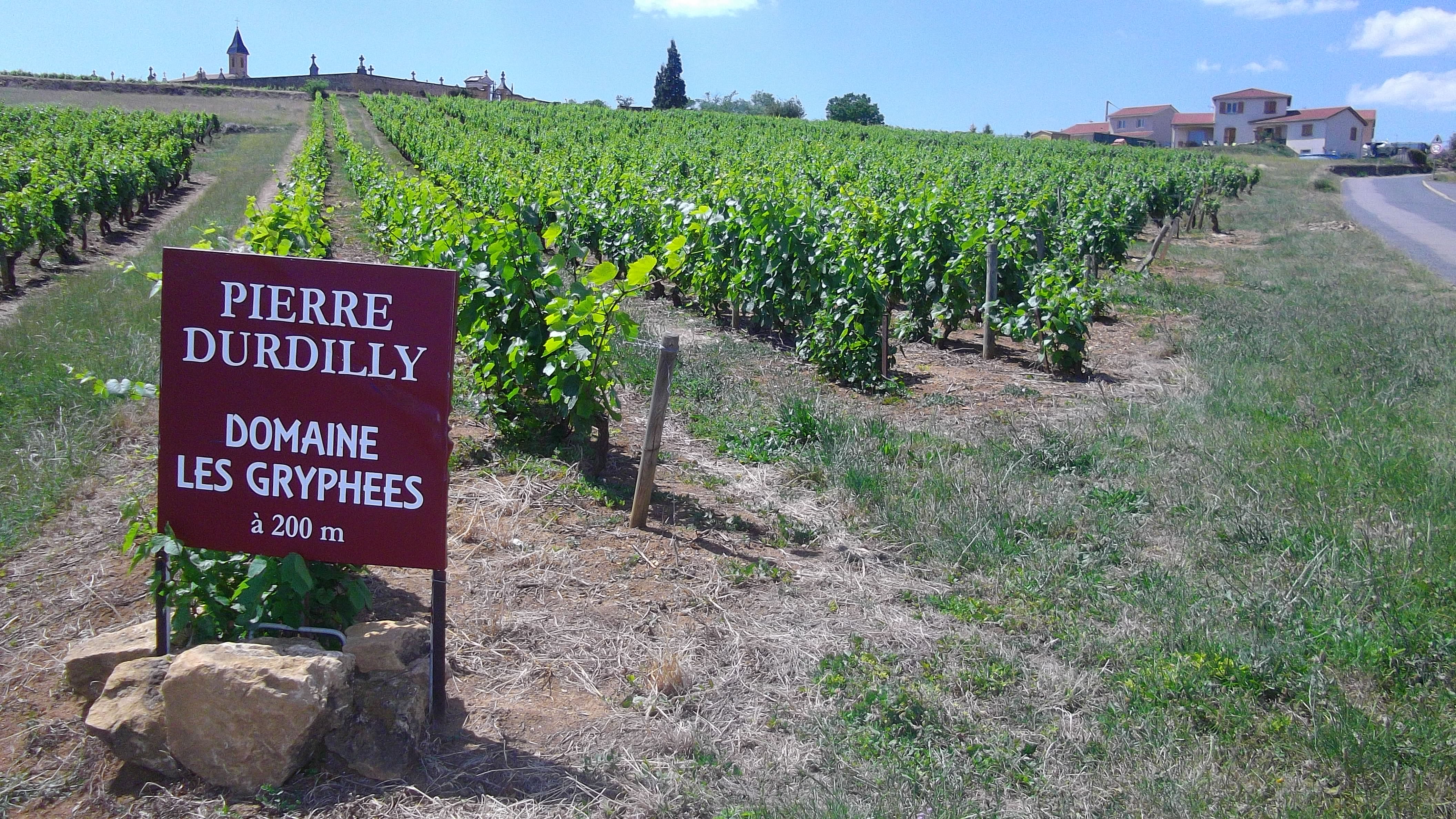 Domaine les Gryphées