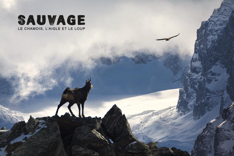 Image Aff paysage Sauvage Â©lapiedfilm copie