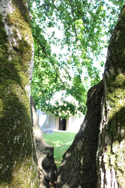 Boucle du tilleul et de la pierre à cupules