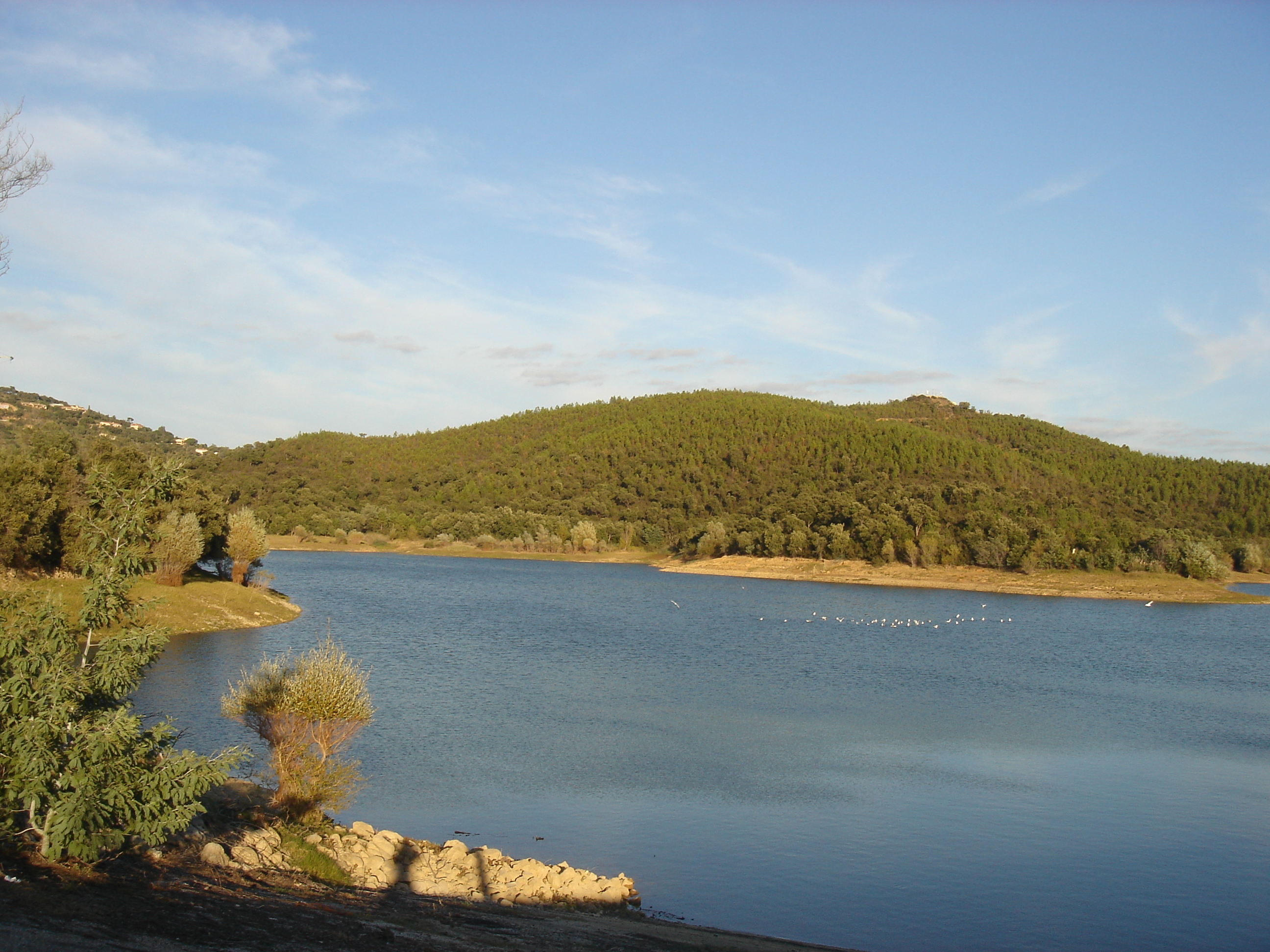 Barrage du Trapan - Bormes-les-Mimosas