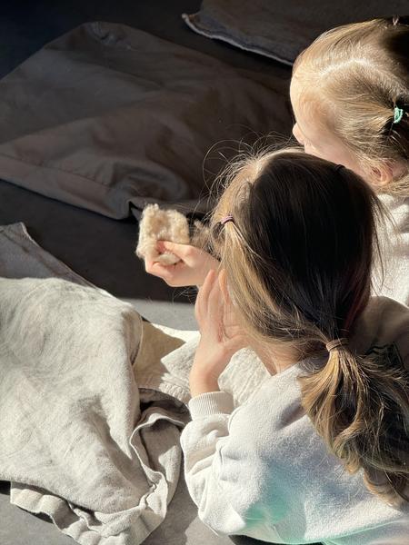 Au labo du château : Au fil du poil_Sallanches