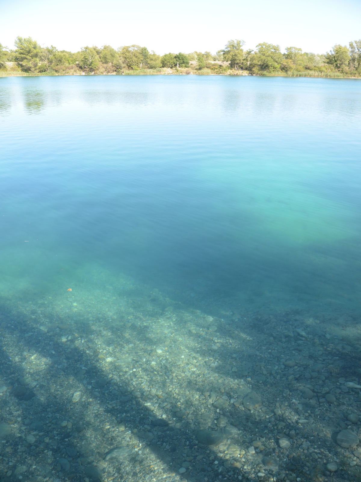 Lac De L Aillade Beaumont De Pertuis Pêche aux 7 Lacs (Beaumont-de-Pertuis) | Provence-Alpes-Côte d'Azur Tourisme