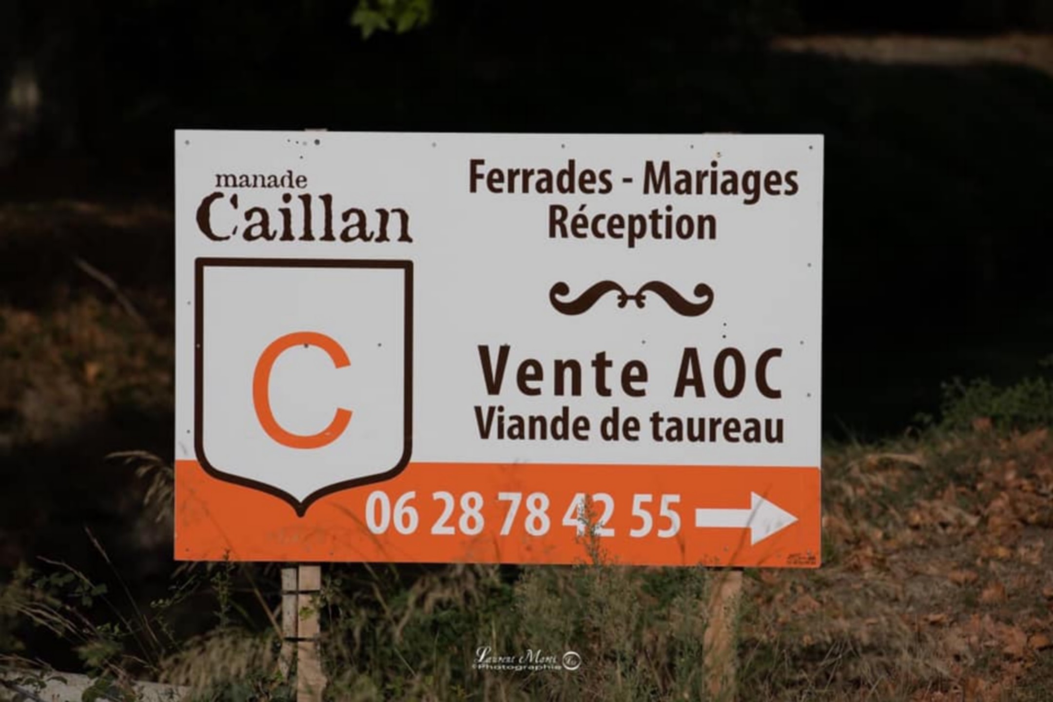 Manade Caillan - photo 5
