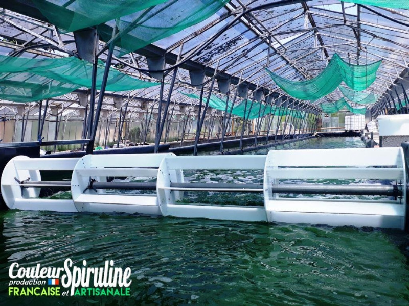 La Ferme des Parpaiouns - Couleur Spiruline