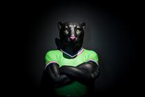 SAINT-ETIENNE vs  NANTES_Saint-Étienne