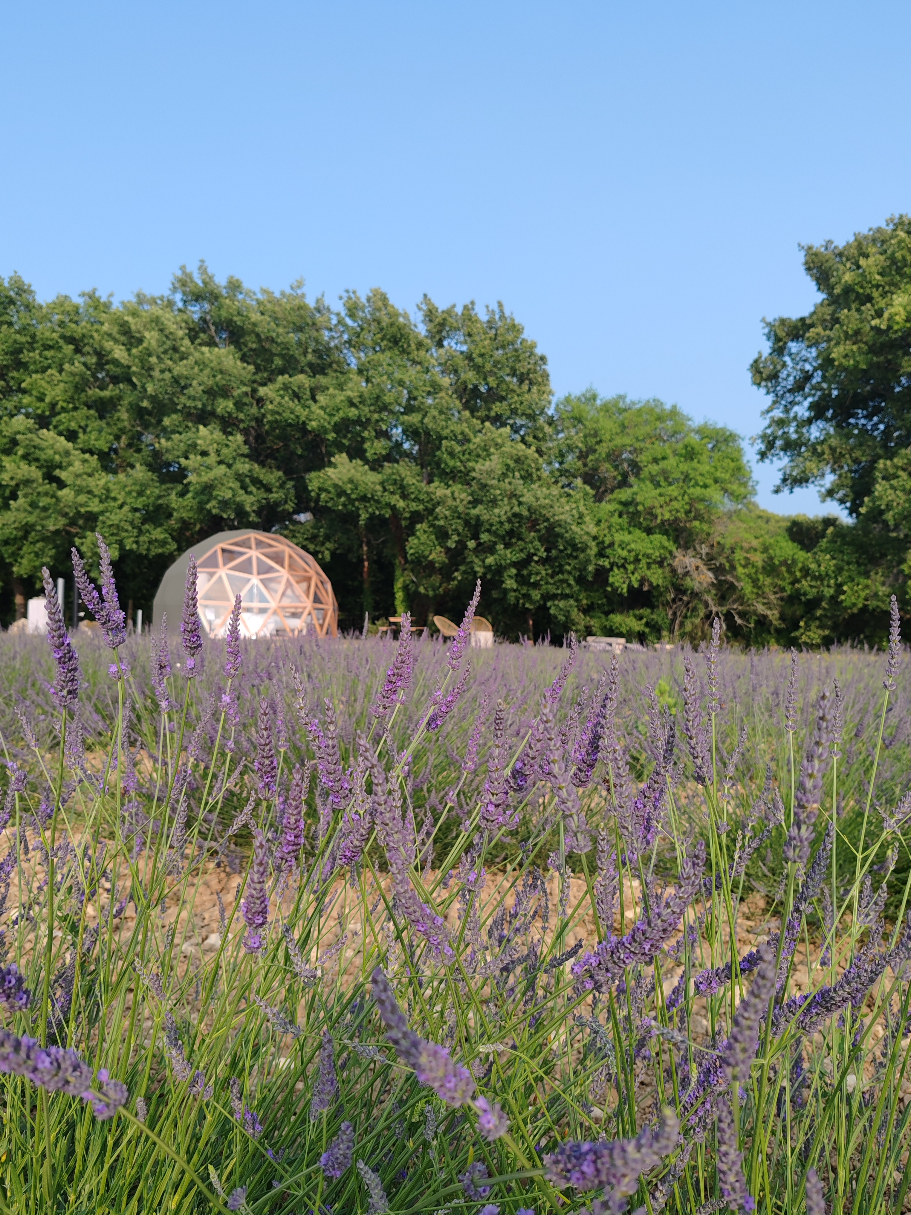 La bulle du Lavandin, Aix-en-Provence - photo 6