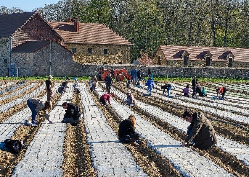 Visite et du00e9gustation au Jardin de Cocagne - Vauhallan
