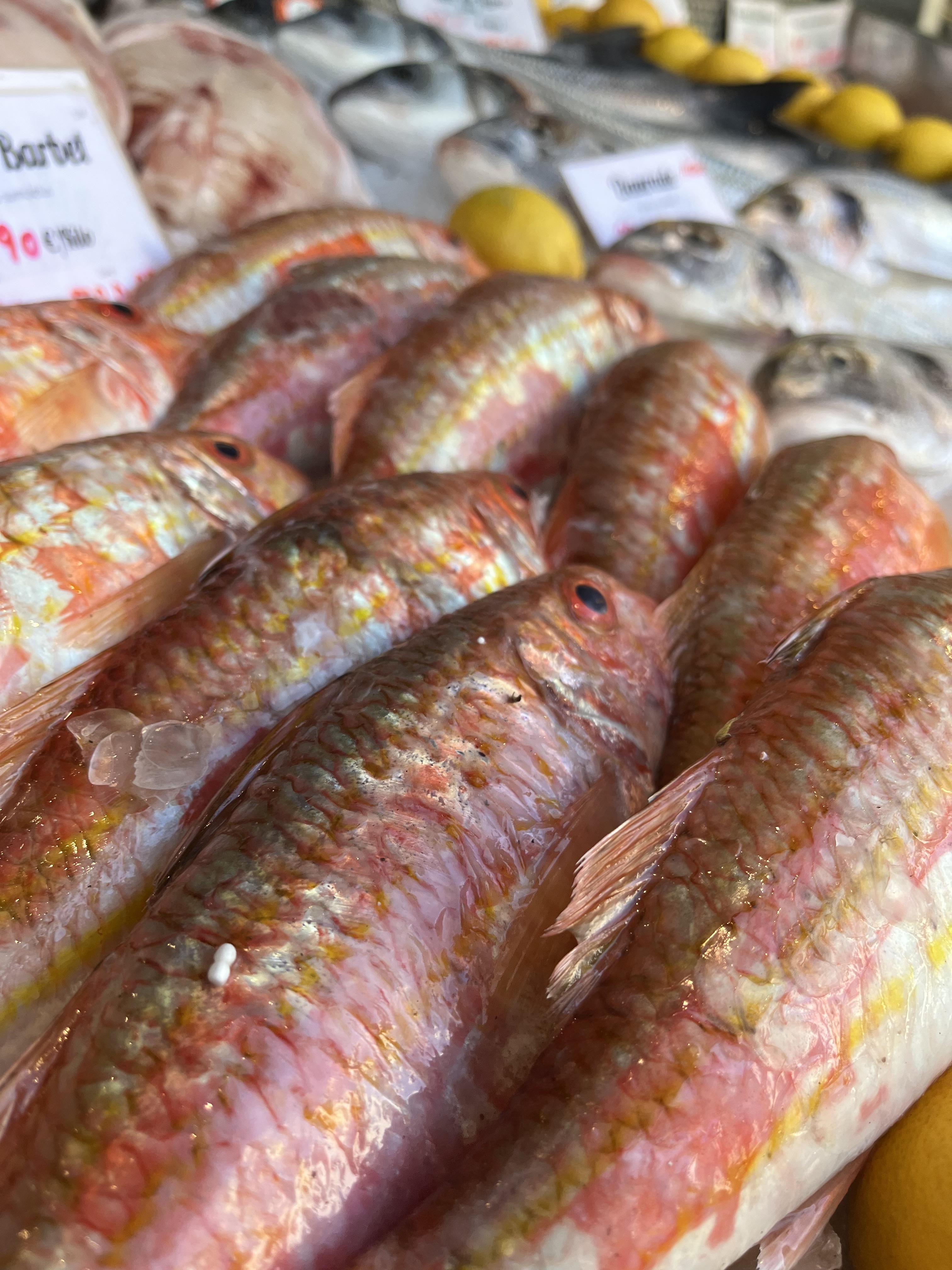 Pierrot Coquillages - photo 4