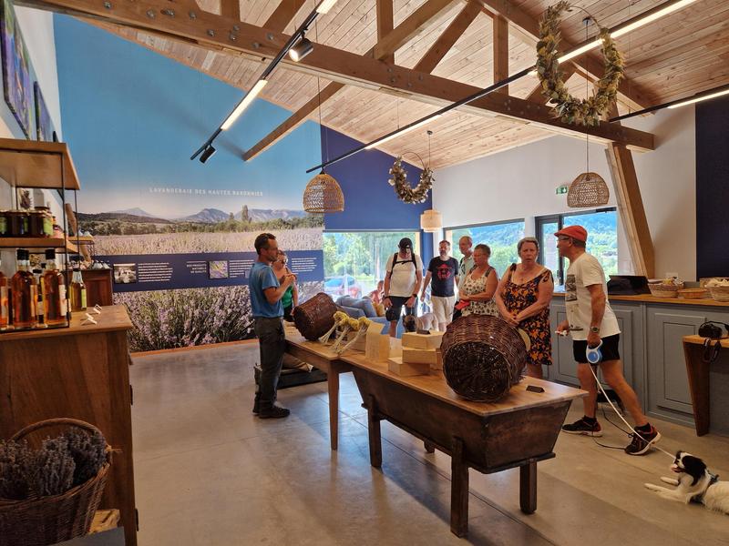 Visite guidée lavande en fleur et atelier cocktail – Plantivore et Lavanderaie des Hautes Baronnies
