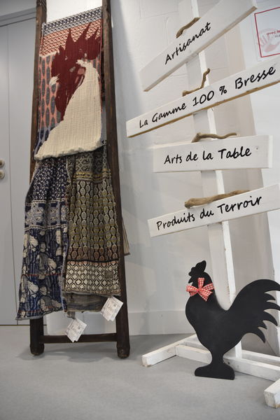 Etole Letol©DS-OTBB (39)