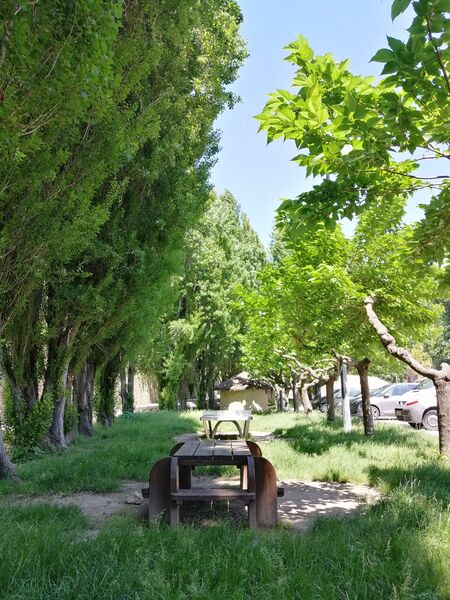 Aire de pique-nique - Place Poulallé