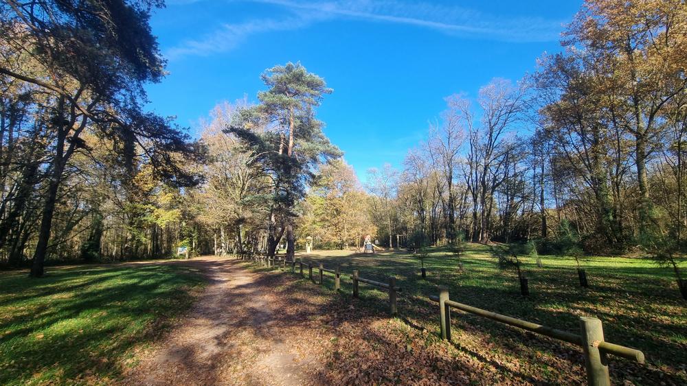 Liaison VTT-VTC (L7) St Trivier de Courtes - Dunes de Sermoyer_Saint-Trivier-de-Courtes