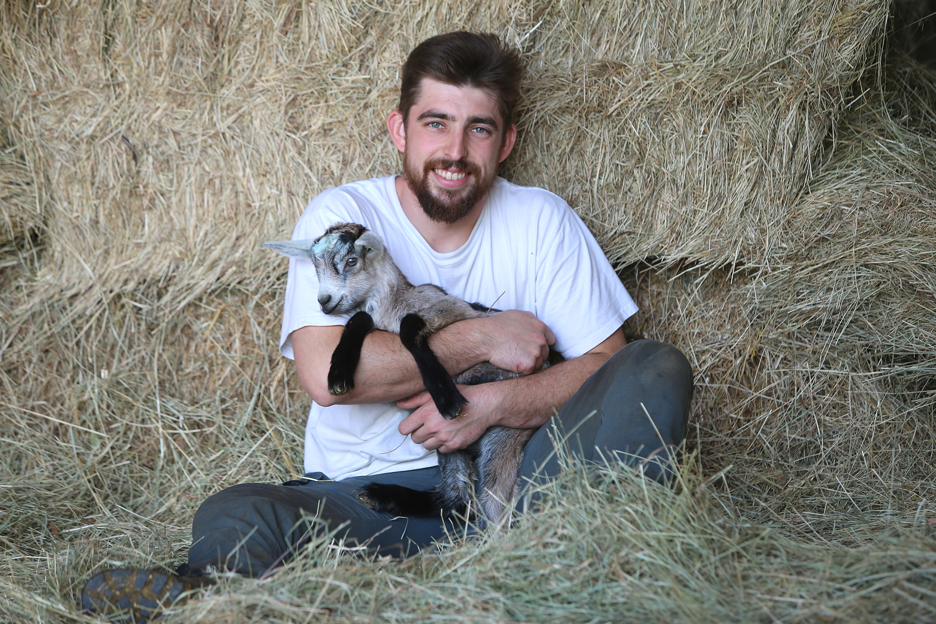 P'tit Milou Fromagerie / GAEC du Graillon