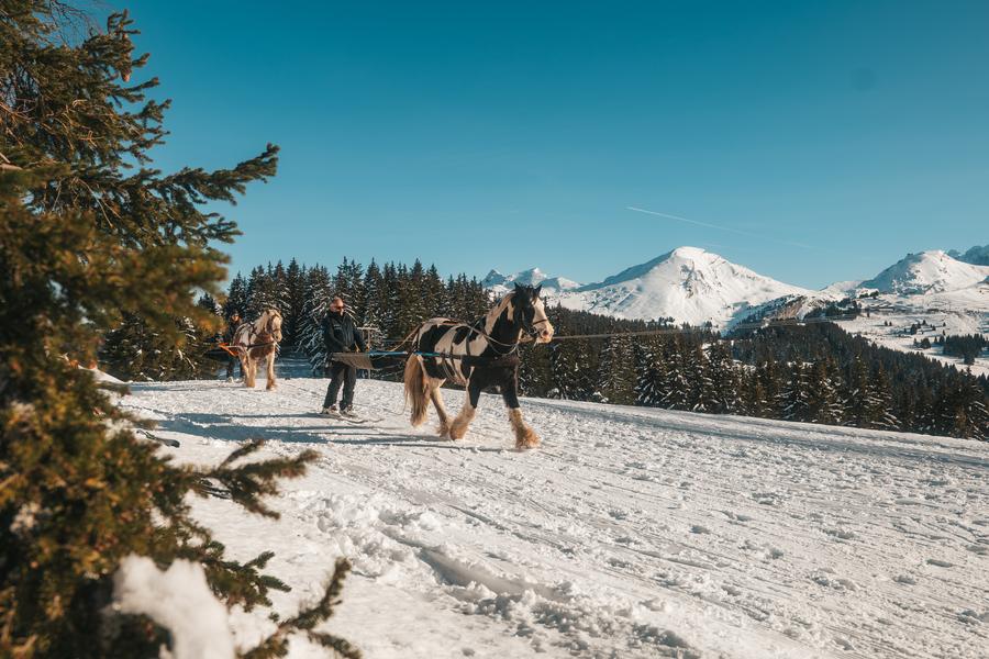 Criterium de Ski Joering_Avoriaz