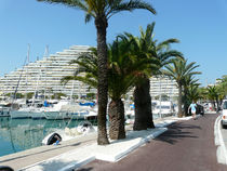 Marina Baie des Anges - Villeneuve-Loubet