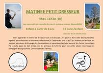 Atelier petit dresseur à la ferme pédagogique du Père Louis_Vézeronce-Curtin