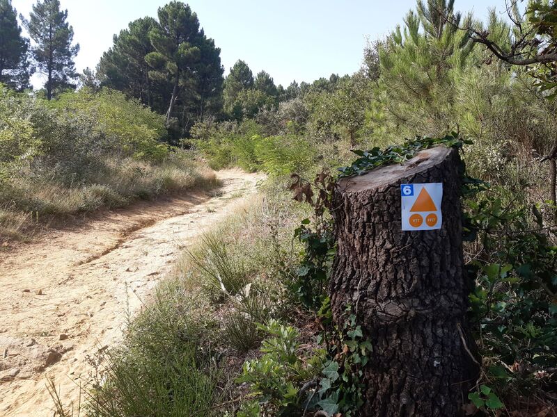 Balisage VTT Allantours bleu
