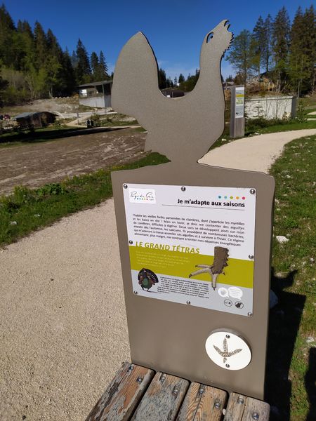 Sentier thématique Mystère des traces